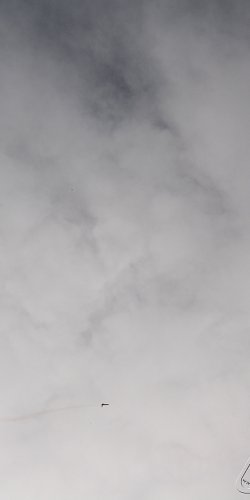 2013 Svojek Mirek Topinka